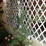 Bed & Breakfast La Terrazza Di Dante